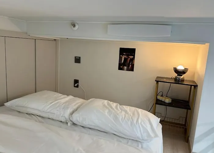 남산&ddp 럭스 뷰 * 서울특별시